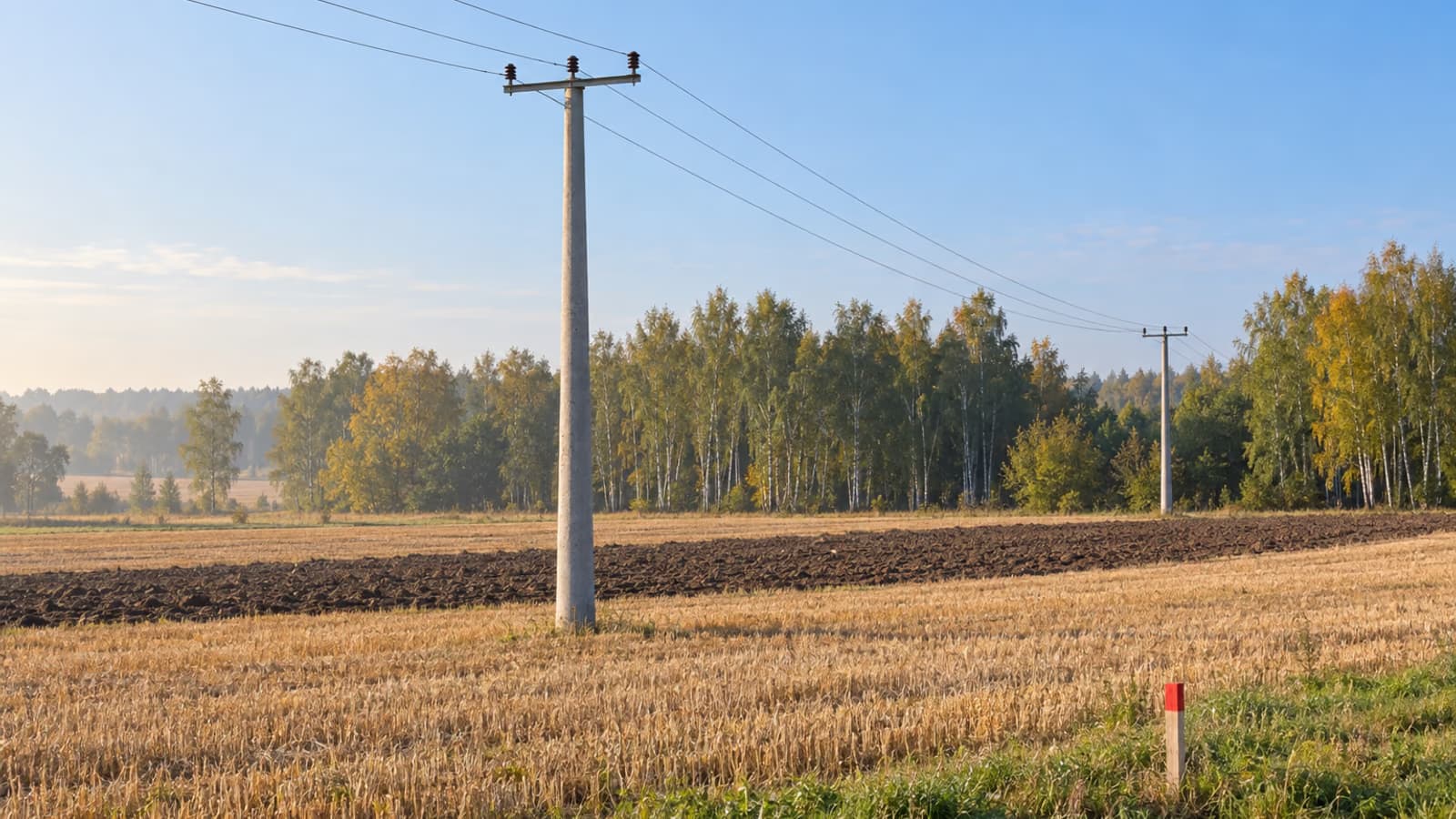 Wrześniowy poranek na polu ze ścierniskiem i pasem zaoranej ziemi. Przez pole biegnie linia na betonowych słupach, jeden słup stoi na polu, ma poprzeczkę i trzy przewody na osobnych izolatorach. W prawym dolnym rogu drewniany palik z czerwonym czubkiem przy granicy działki, w tle brzozy.