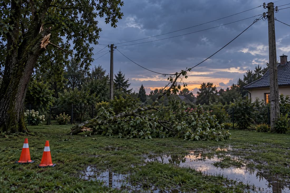 Ogród o zmierzchu po burzy: złamany konar leży na trawniku i ściąga w dół przewód linii niskiego napięcia, obok dwa pomarańczowe pachołki